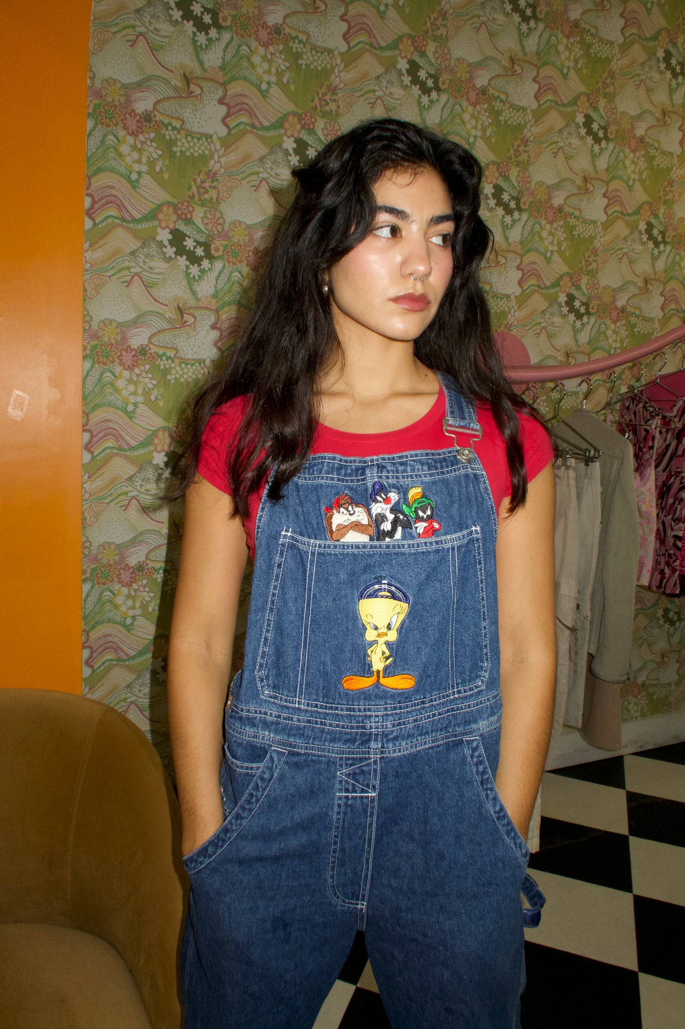 Denim Looney Tunes Overall