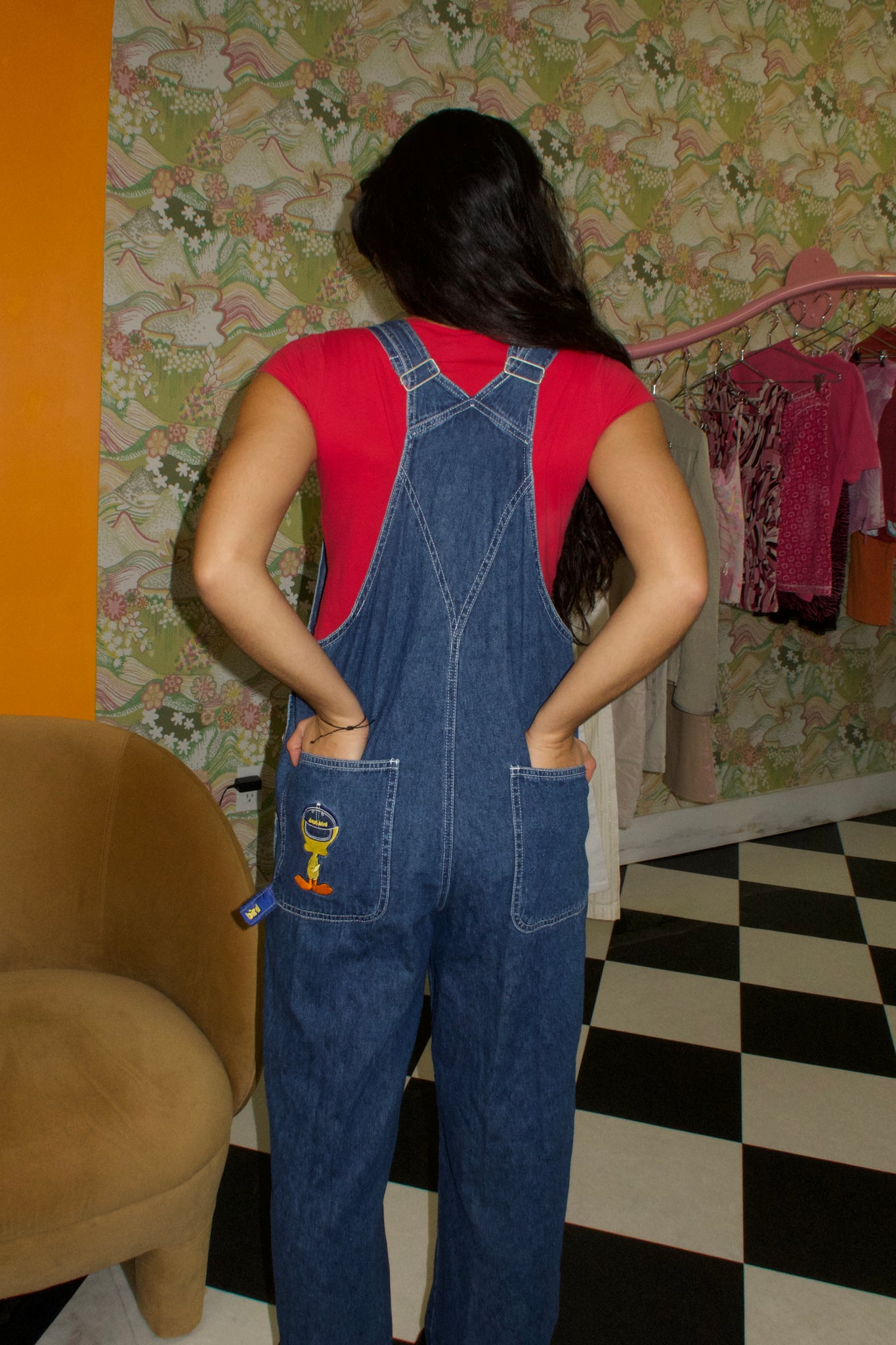 Denim Looney Tunes Overall