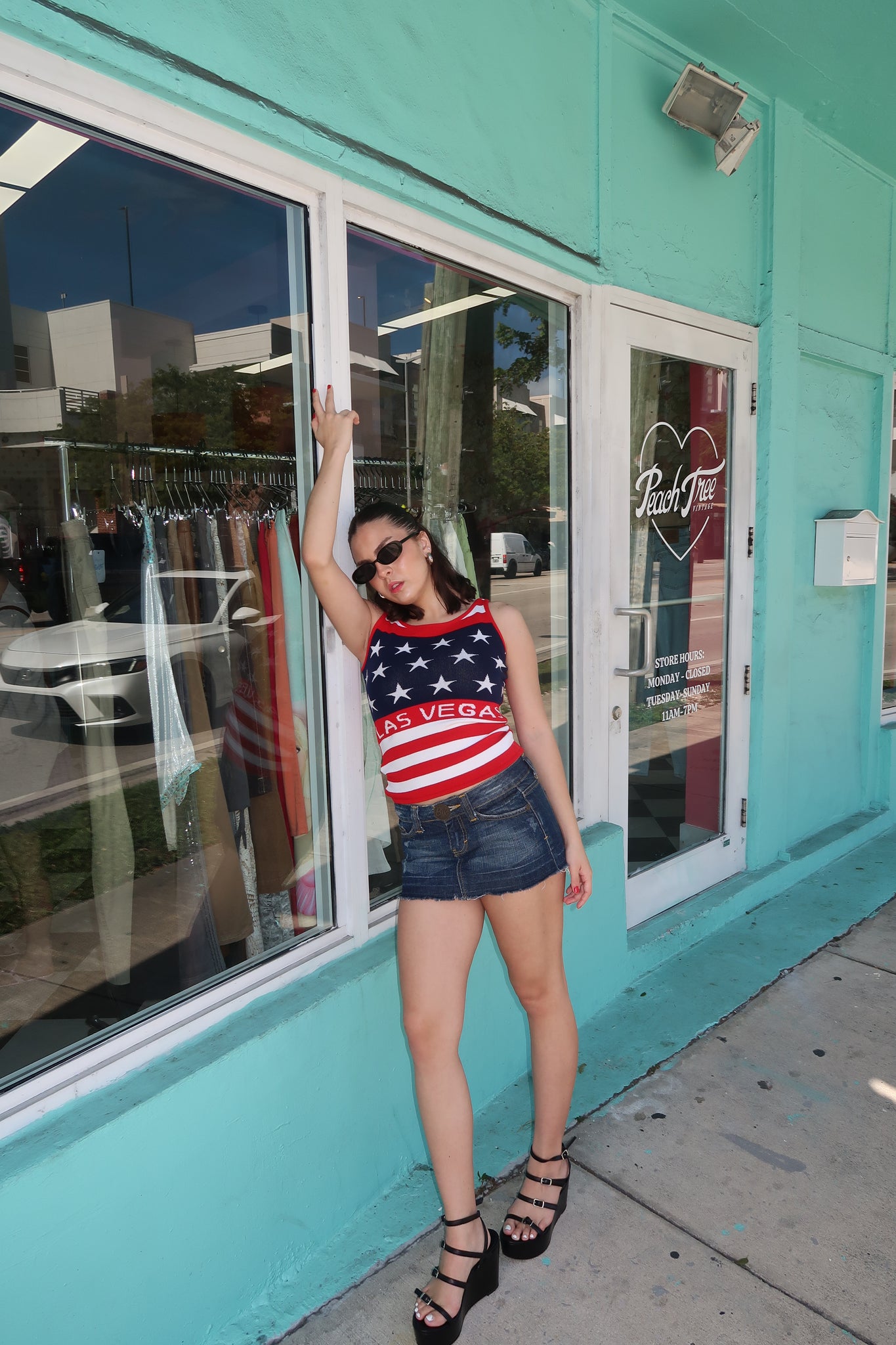 USA Flag Knitted Top