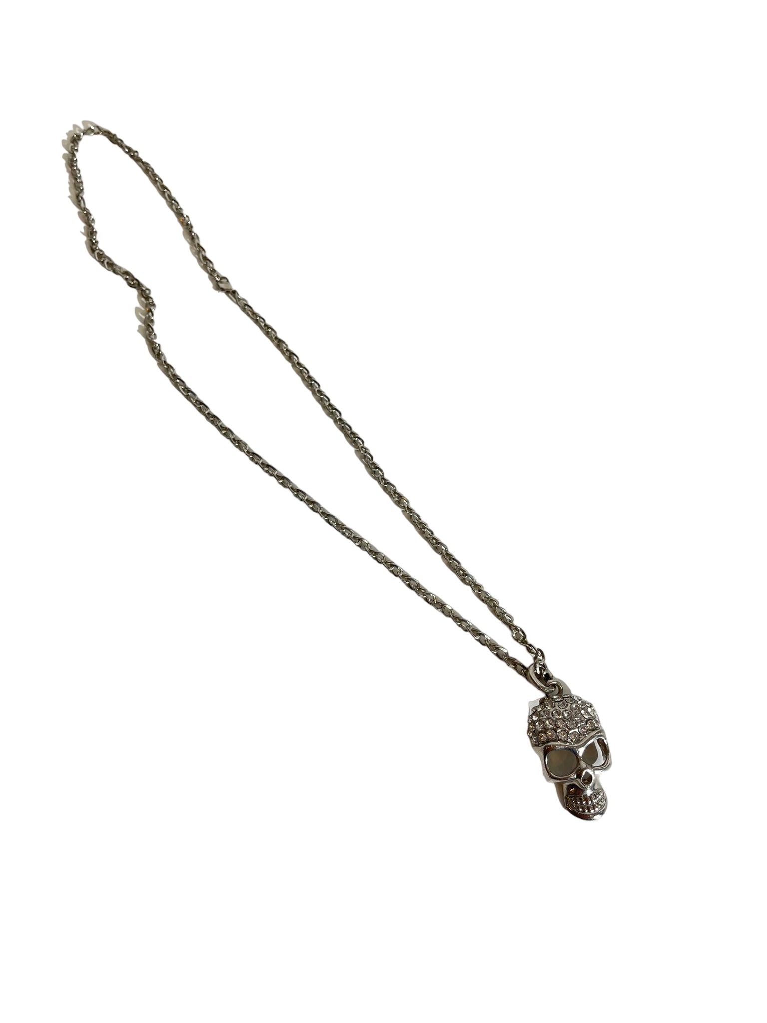 Long Chain Skull Pendant Necklace