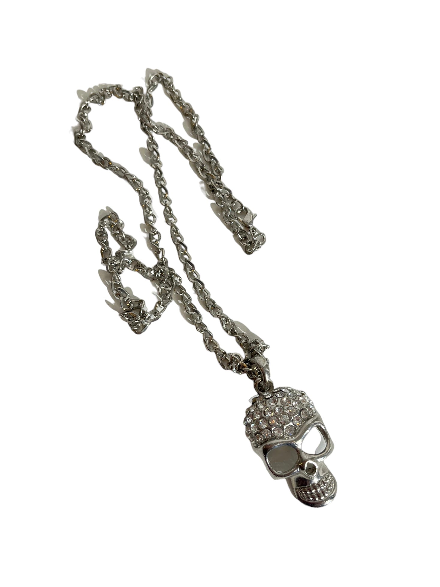 Long Chain Skull Pendant Necklace