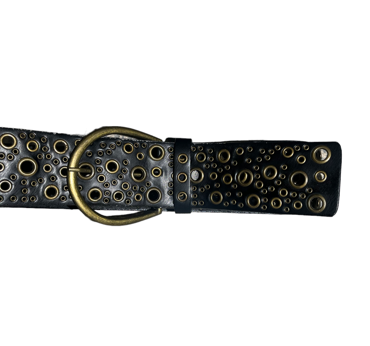 Thick Brown Belt Gold Eyelets